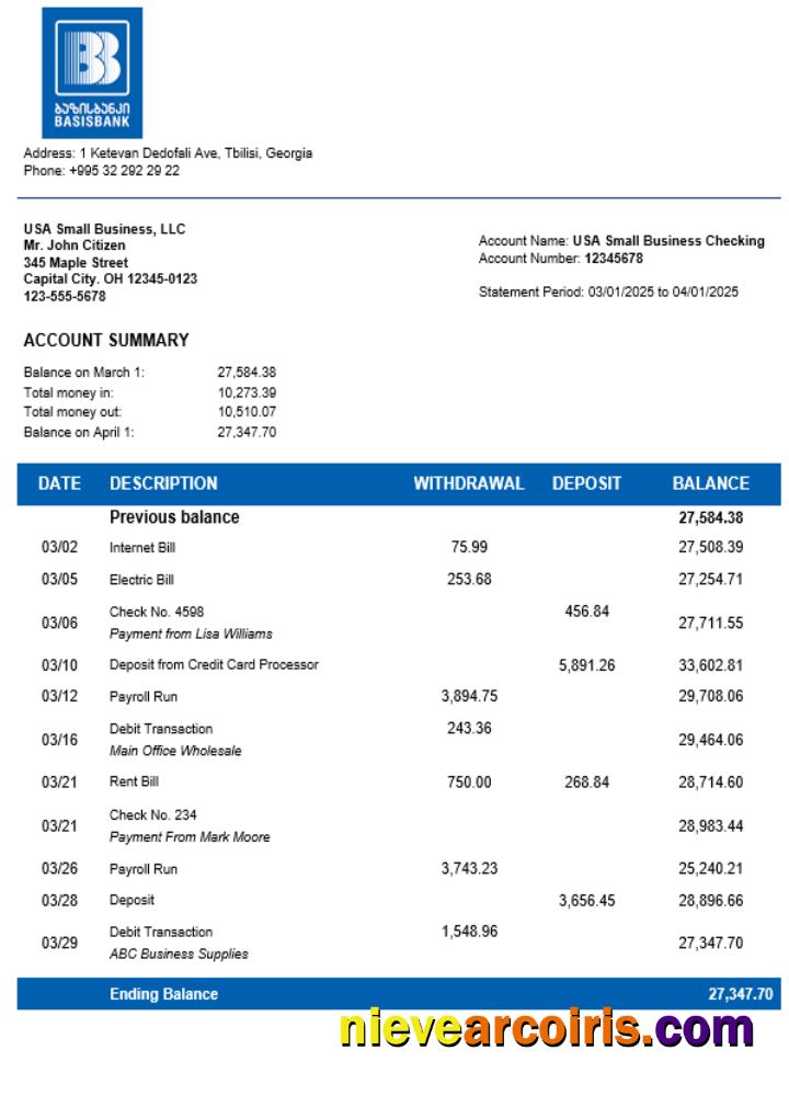 Basis Bank company statement